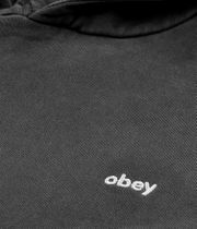 Obey Lowercase Pigment sweat à capuche (pigment pirate black)