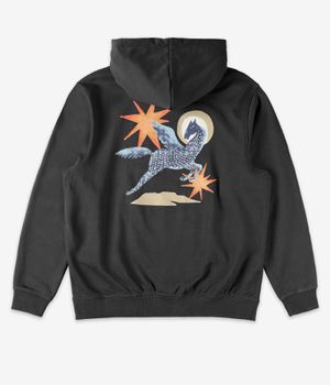 RVCA Pegasus Hoodie (pirate black)