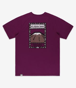 The North Face North Faces T-Shirty (berry)