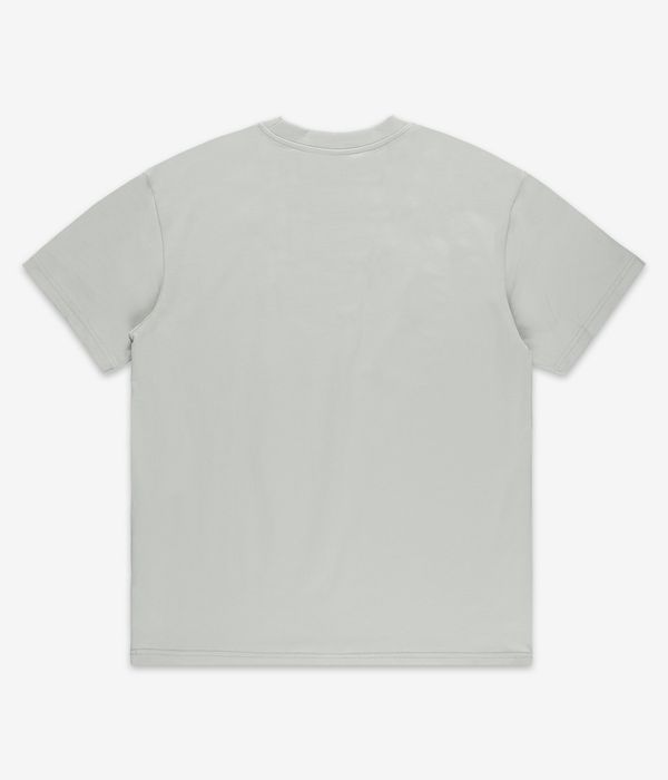 Iriedaily What The Duck T-Shirty (light sage)
