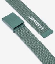 Carhartt WIP C-Logo Riem (silver pine white)