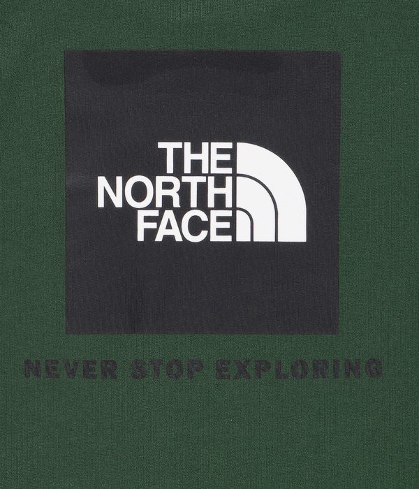 The North Face Raglan Redbox Sweatshirt (pine needle)