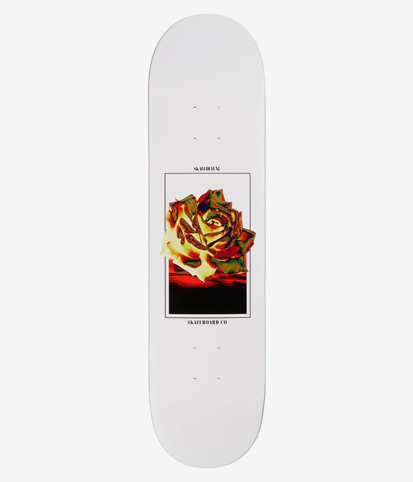 skatedeluxe Rose 8" Tabla de skate (white)