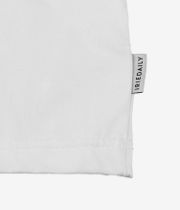 Iriedaily Spider App T-Shirt (white)