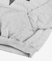 Thrasher x Toy Machine Monster-Gram Hoodie (ash grey)