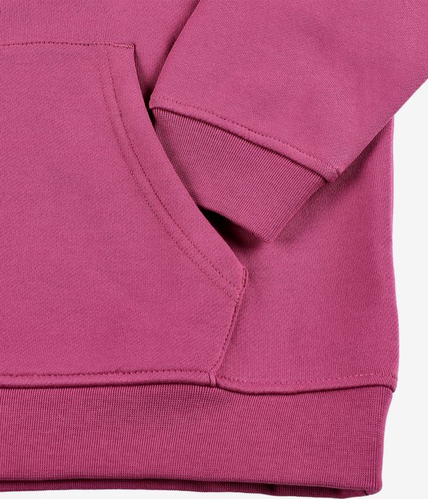 Santa Cruz Crescent Bone Hand sweat à capuche (burgundy)