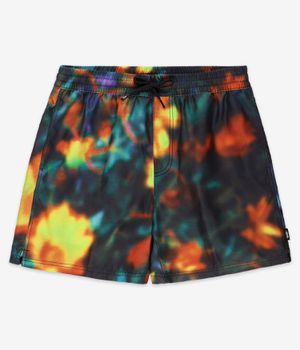 Vans Primary Print Elastic Boardshorts (black multi)