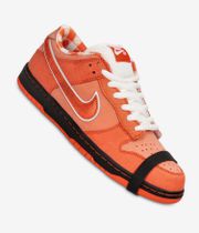 Nike SB x Concepts Dunk Low OG Shoes (orange frost electro orange)