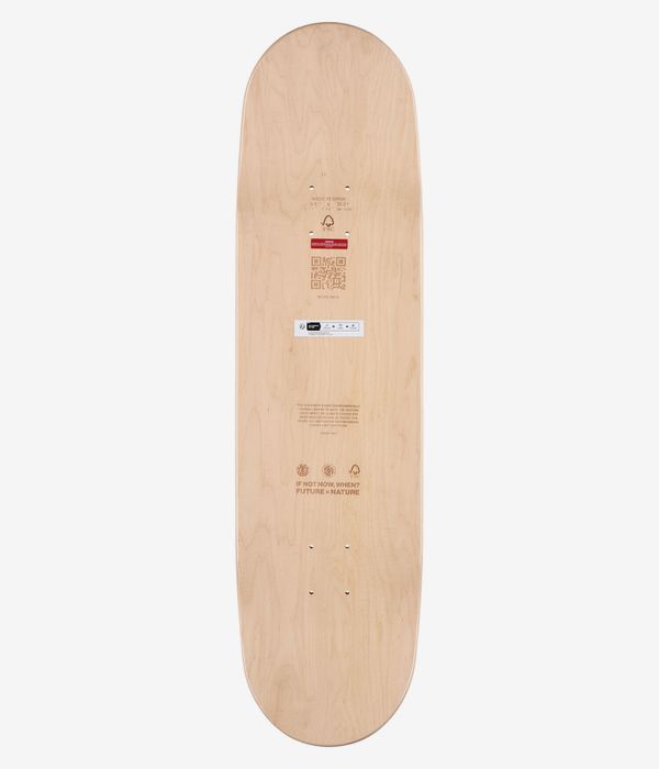 Element Section CBN 8.5" Tavola da skateboard (multi)