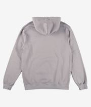 Iriedaily Mini Flag 2 Hoodie (lint)