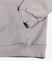 Iriedaily Mini Flag 2 Hoodie (lint)