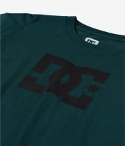 DC Star Camiseta (ponderosa pine)