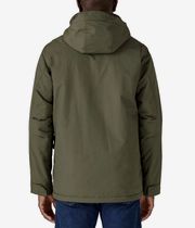 Patagonia Isthmus Parka Jacket (basin green)