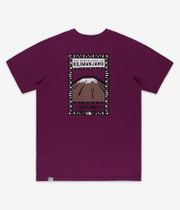 The North Face North Faces Camiseta (berry)