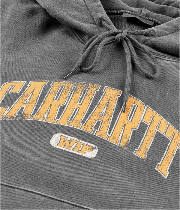 Carhartt WIP Library sweat à capuche (black garment dyed)