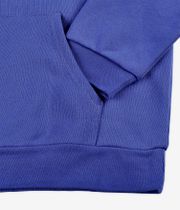 Obey Icon Extra Heavy II Hoodie (dazzling blue)