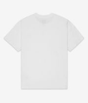 DC Painted Van T-Shirt (white)