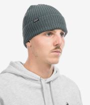 Patagonia Fishermans Rolled Beanie (nouveau green)
