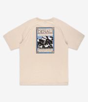 The North Face Faces T-Shirt (gravel)
