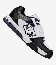DC Versatile Shoes (white black blue)