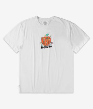 Element Sound Of Nature T-Shirt (optic white)