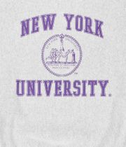 Champion College Sweatshirt (grey purple)