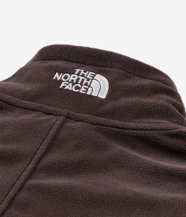The North Face Polartec 100 1/4-Zip Sweatshirt (coal brown)
