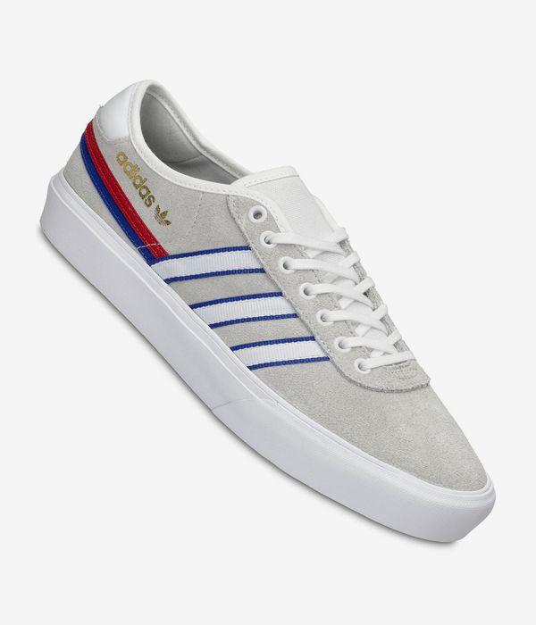 adidas Skateboarding Delpala Shoes (white white royal blue)