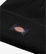 Dickies Gibsland Beanie kids (black)