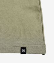 DC Star HSS T-Shirt (deep lichen green)