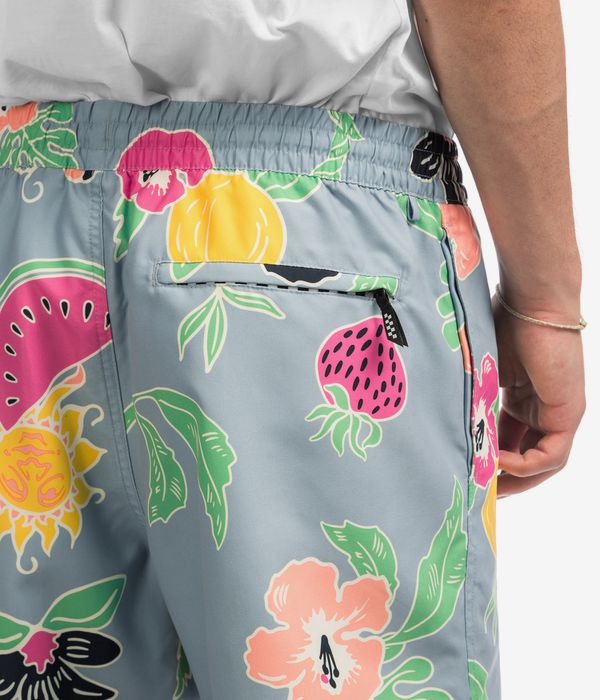 Vans Primary Print Elastic Boardshorts (dusty blue)