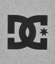 DC Star HSS Camiseta (heather grey)