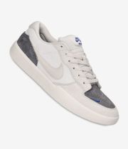 Nike SB Force 58 Shoes (phantom lt orewood brn pencil po)