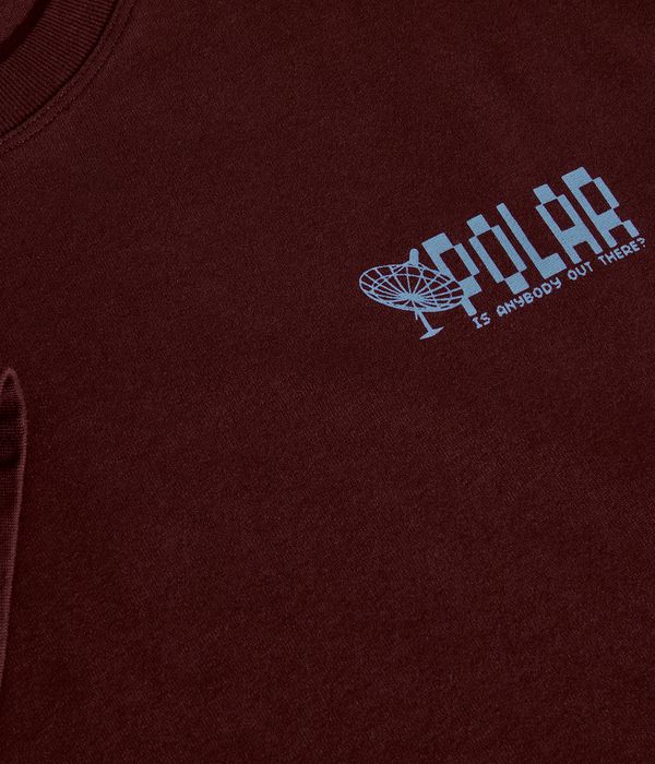 Polar Anyone Out There T-Shirt (wine)