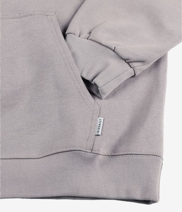 Iriedaily Mini Flag 2 Hoodie (lint)