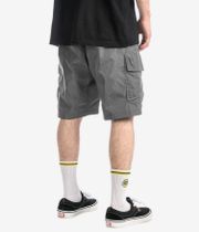The North Face NSE Cargo Shorts (smoked pearl)