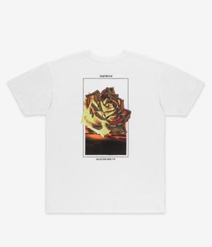 skatedeluxe Rose Camiseta (white)