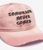 Wasted Paris Destroy Never Comes 6 Panel Cap (faded sour pink)
