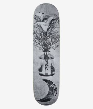 Isle Artist Rutherford 8.125" Planche de skateboard (multi)