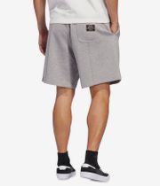 adidas Shmoo FW Shorts (grey heather dark brown)