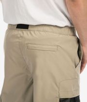 DC All Terrain Convertible Cargo Pants (crockery)