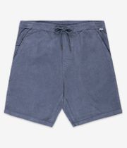 REELL Reflex Easy Shorts (baby cord blue grey)
