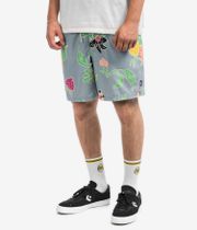 Vans Primary Print Elastic Boardshorts (dusty blue)