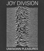 Amplified Joy Division Unknown Pleasure T-shirt (charcoal)