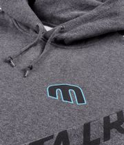 Etnies x Santa Cruz Screaming Hand Hoodie (charcoal)