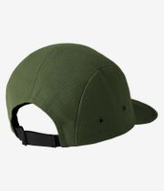 Carhartt WIP Backley 5 Panel Cappellino (tarragon)