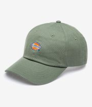 Dickies Hardwick Cap (sea spray)