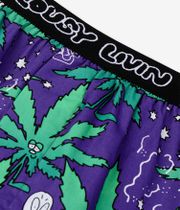 Lousy Livin Outer Weedy Briefs Boxer (black) pacco da 2