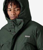 Patagonia Stormshadow Parka Jas (old growth green)