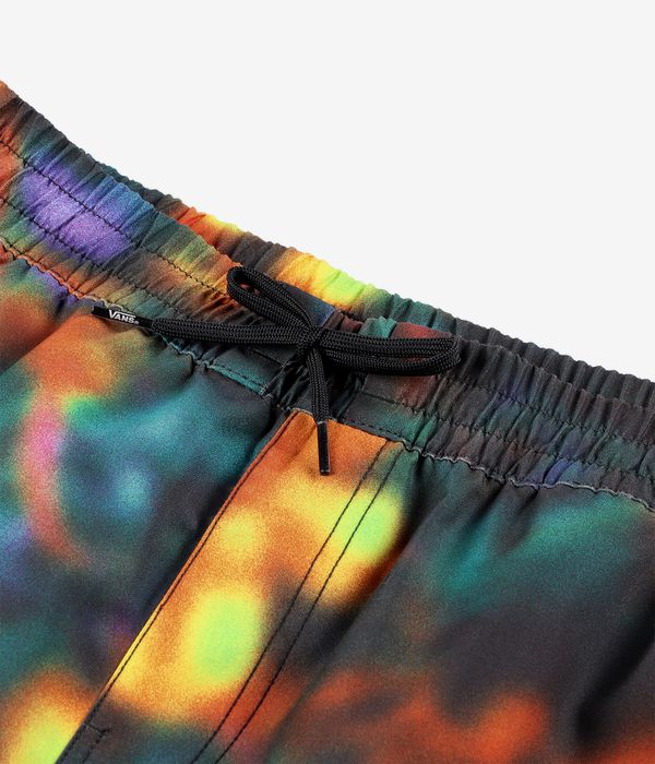 Vans Primary Print Elastic Boardshorts (black multi)